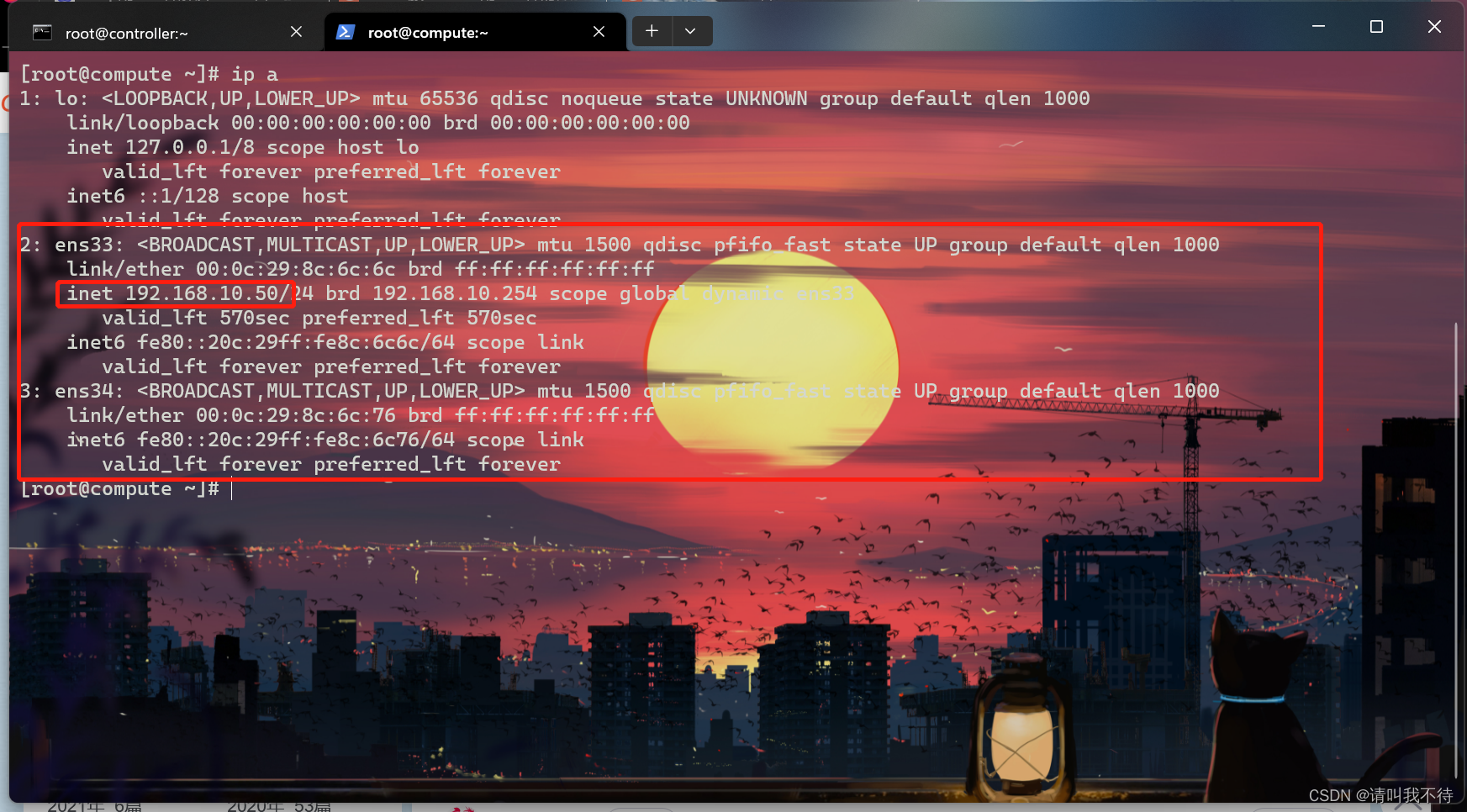 centos搭建dhcp服务